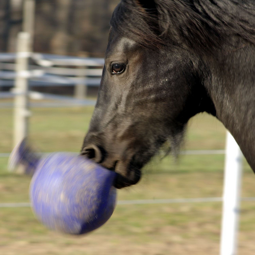 Horsemen's Pride Jolly Ball (10 in Red)