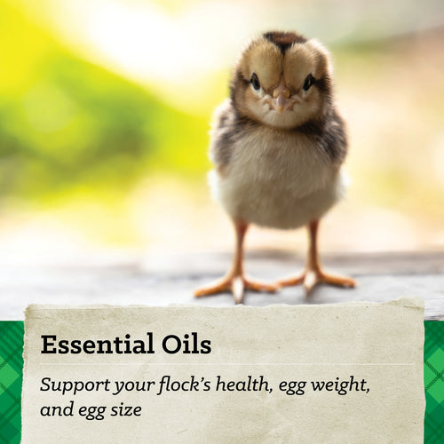 Nutrena® NatureWise® Chick Starter Grower 18% Protein Crumble Feed